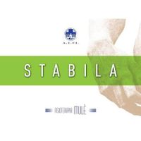 FESTINA LENTE DI CLAUDIO MULE'